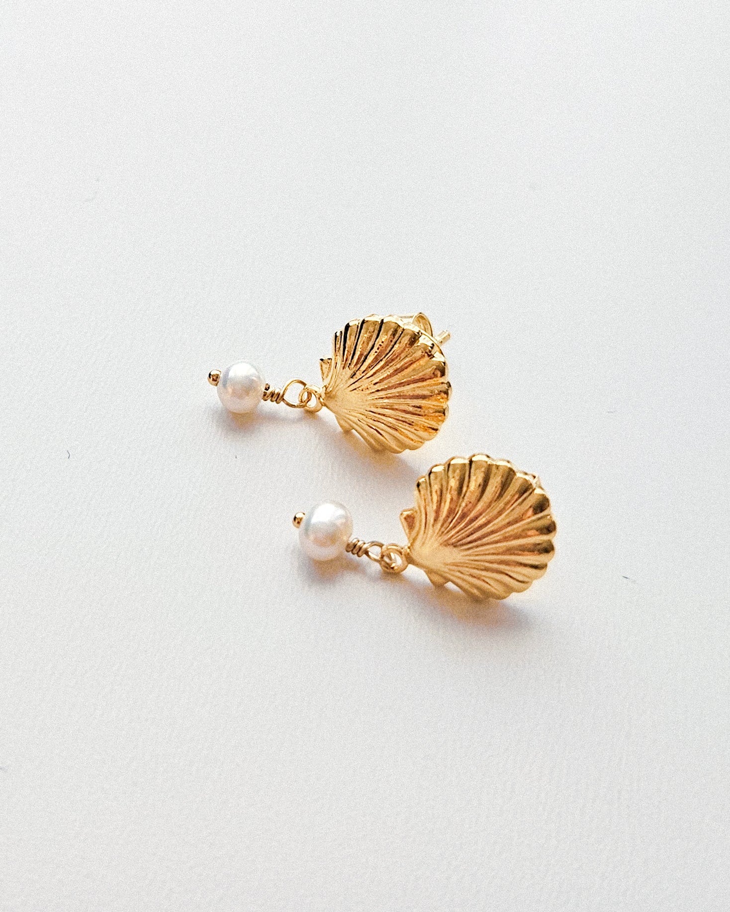 MAUI Shell Studs
