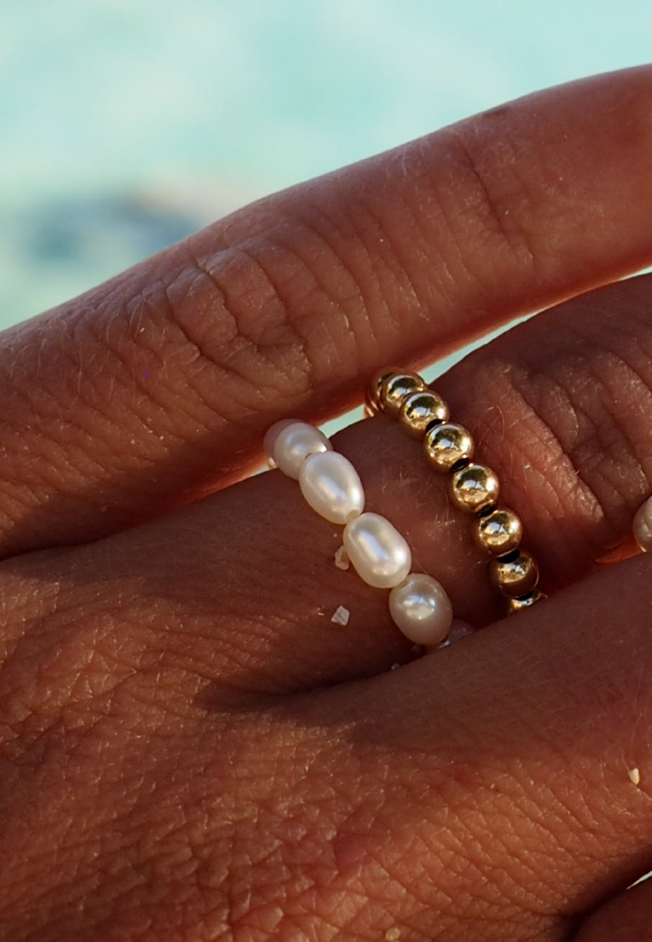 CAPRI Bundle