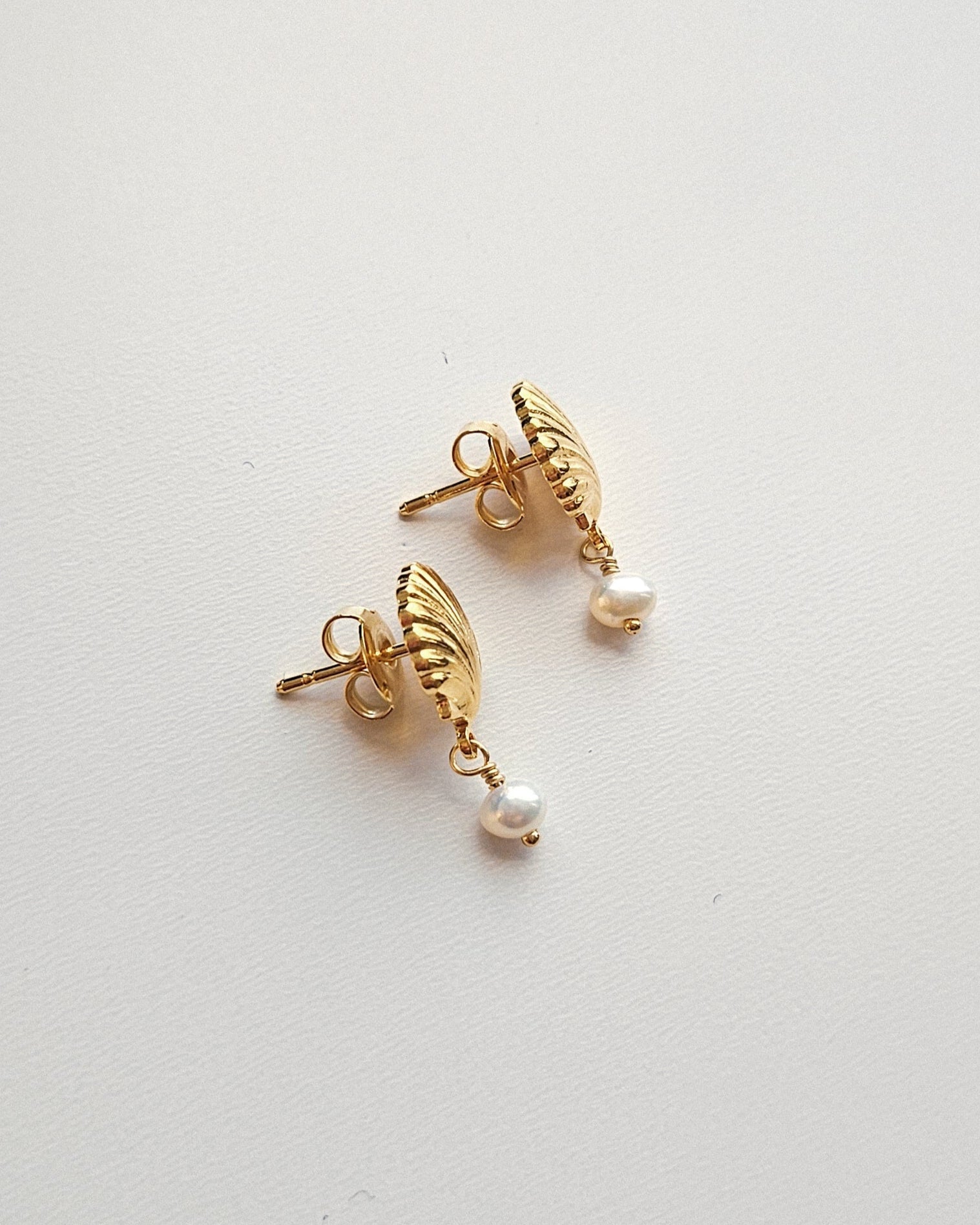 MAUI Shell Studs