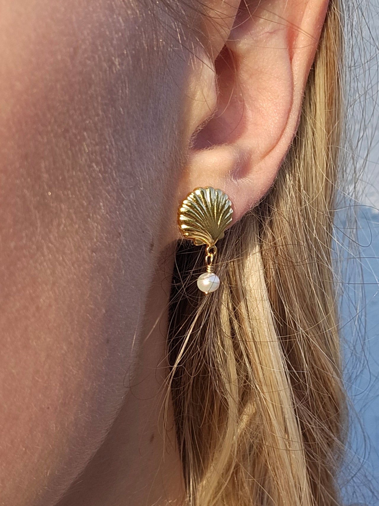 MAUI Shell Studs