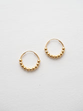 Load image into Gallery viewer, ROVIGNO Earrings
