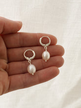 Load image into Gallery viewer, Mini Hoops &quot;KESHI PEARL&quot;
