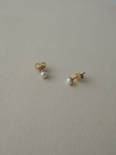 Load image into Gallery viewer, AVOLA Pearl Studs
