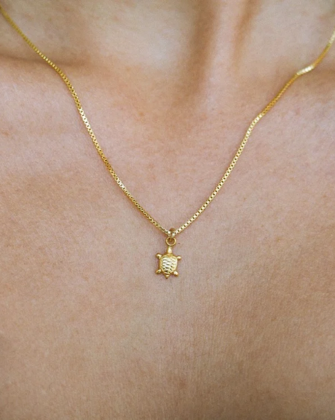 TURTLE Set