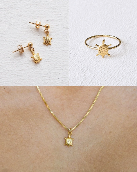 TURTLE Set