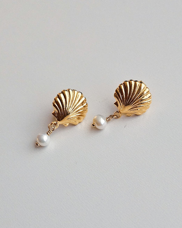 MAUI Shell Studs
