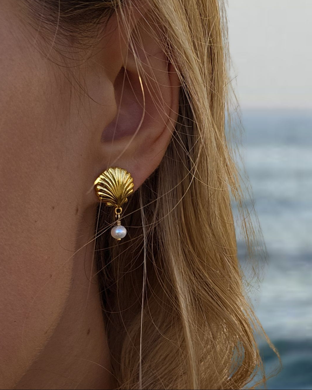 MAUI Shell Studs
